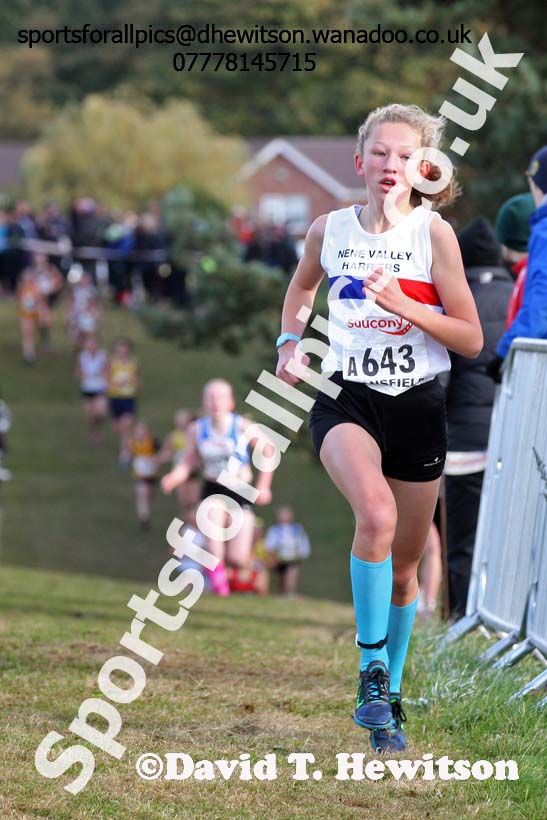 Girls under-13s, 2016 National Cross Country Relays, Berry Hill Park, Mansfield. Photo: David T. Hewitson/Sports for All Pics